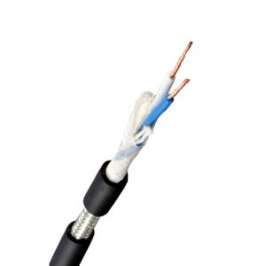 cable-canare-L-2T2S.jpg